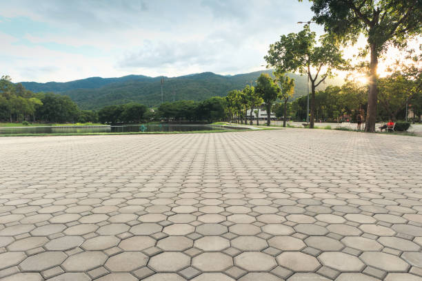 Best Interlocking Driveway Pavers  in Reedsburg, WI